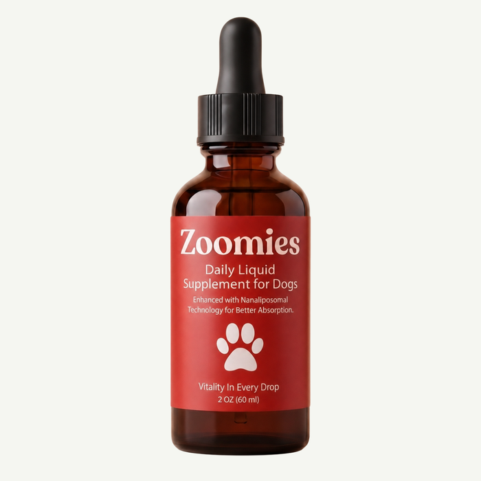 Why 50,000+ Dog Owners Chose Zoomies