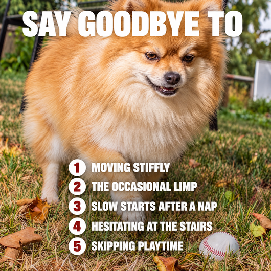 Say goodbye to moving stiffly, the occasional limp, slow starts, hesitating at the stairs and skipping playtime