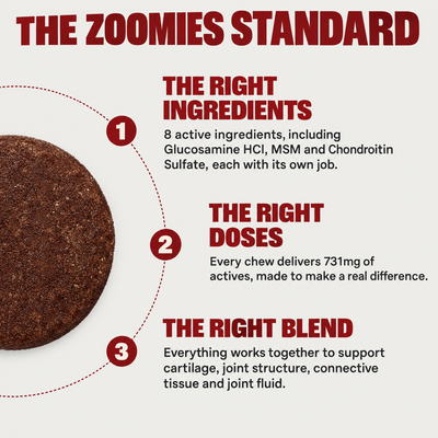 The Zoomies Standard: the right ingredients, the right doses, the right blend