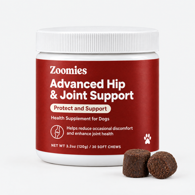 Zoomies Advanced Hip & Joint Support jar with two pork liver soft chews